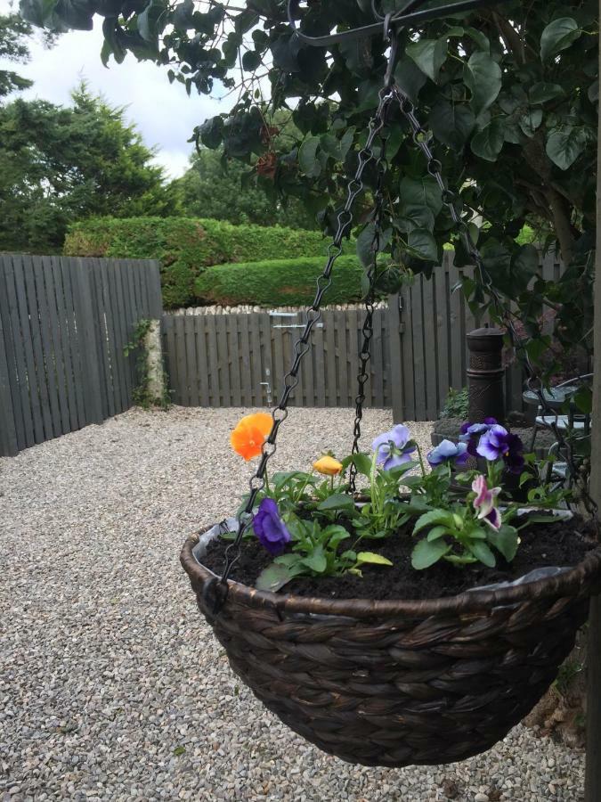 Foxy's Den Holiday home